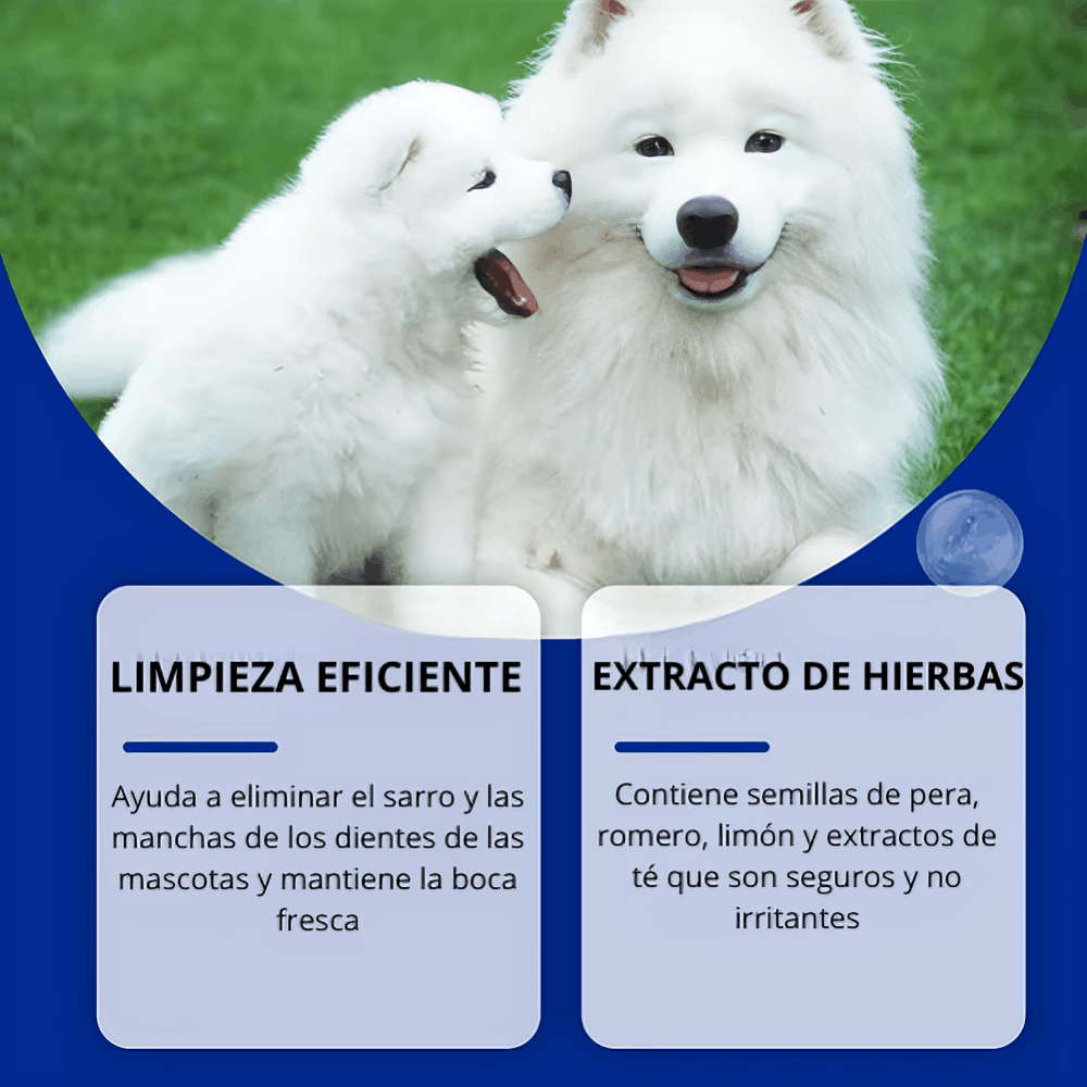 Polvo Dental Natural para mascotas